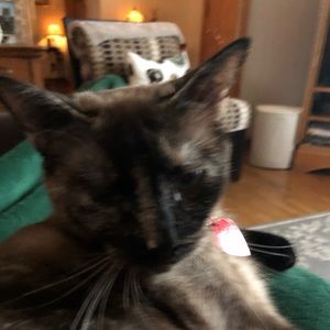 Meet your Posher, Jacquelyn